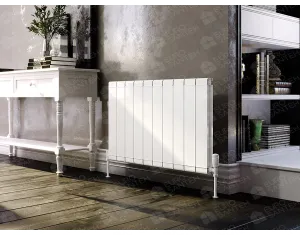 Designer radiator LOJIMAX, collection  GENOA DOUBLE height 1000 mm. width 850 mm. white mat
