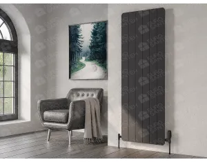 Designer radiators LOJIMAX, collection EXA, black matte