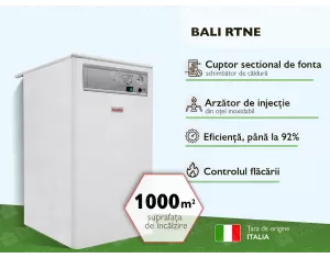 Central FONDITAL BALI RTNE 100 KW