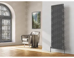 Designer radiator LOJIMAX FLAT collection 1600x394 mm, Anthracite
