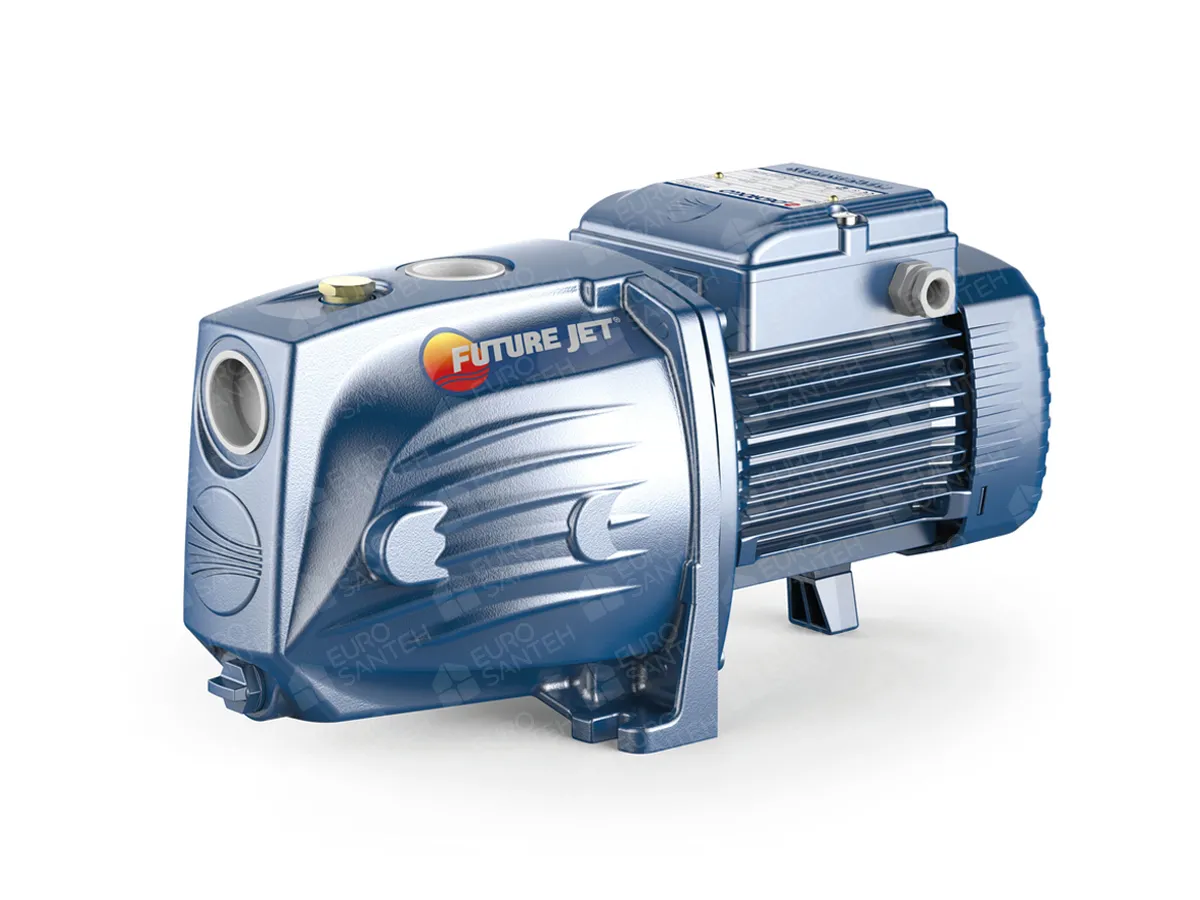 Pedrollo FUTUREm/2A Self-Priming Pump