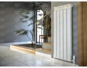 Designer radiator LOJIMAX, collection  BESTO XL height 700 mm. width 300 mm. black mat