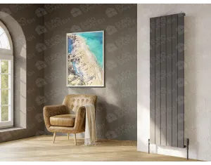 Radiator de designer LOJIMAX colecția KALSEDON 1800x470 mm, BLACK SATIN