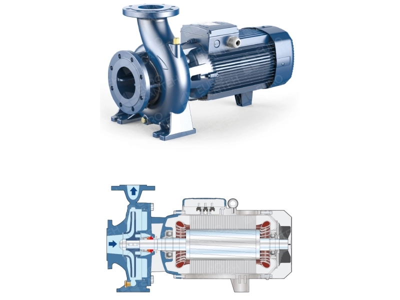 Pompa monobloc centrifuga in consola Pedrollo F65/250C