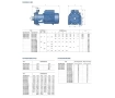 Pompa electrica centrifuga cu doua rotoare Pedrollo 2CP32/210A