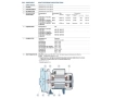Pedrollo CP190-ST4 electric centrifugal pump (AISI 304)
