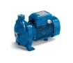 Pedrollo CPm 170 electric centrifugal pump