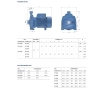 Pedrollo CPm 210C electric centrifugal pump (CPm25 / 200B)