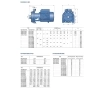 Pedrollo 2CP25 / 16A 2-Rotary Centrifugal Electric Pump (2CP25 / 160A)
