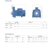 Pedrollo NGAm1A open impeller water pump